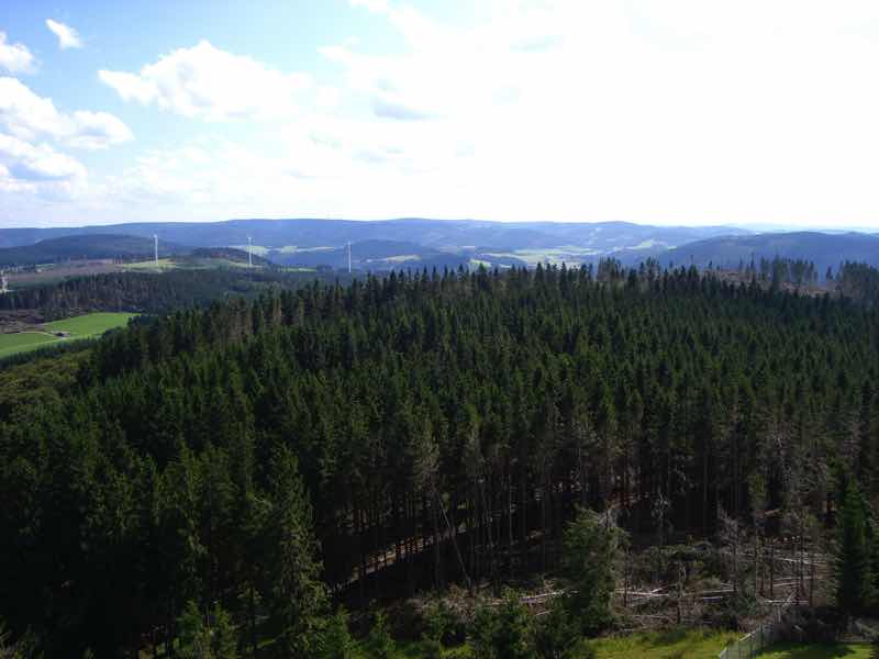 Blick über Kräuterspirale zum Gartenteich