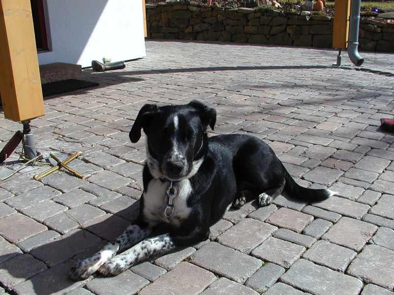 Paula geniesst die Sonne auf unserer Terrasse 