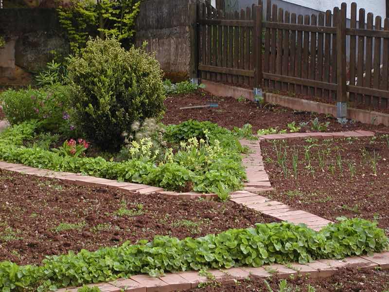 Gemüsegarten im Frühling