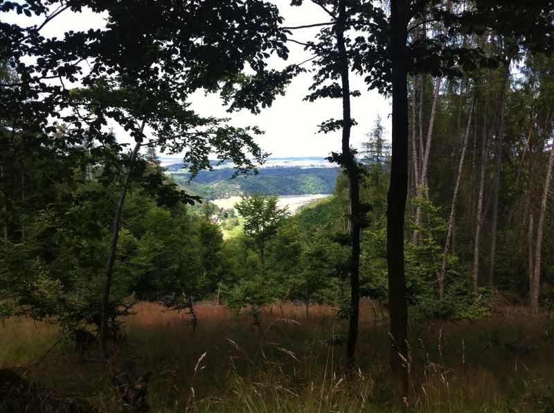 Auf dem Urwaldsteig - Blick zum Edersee