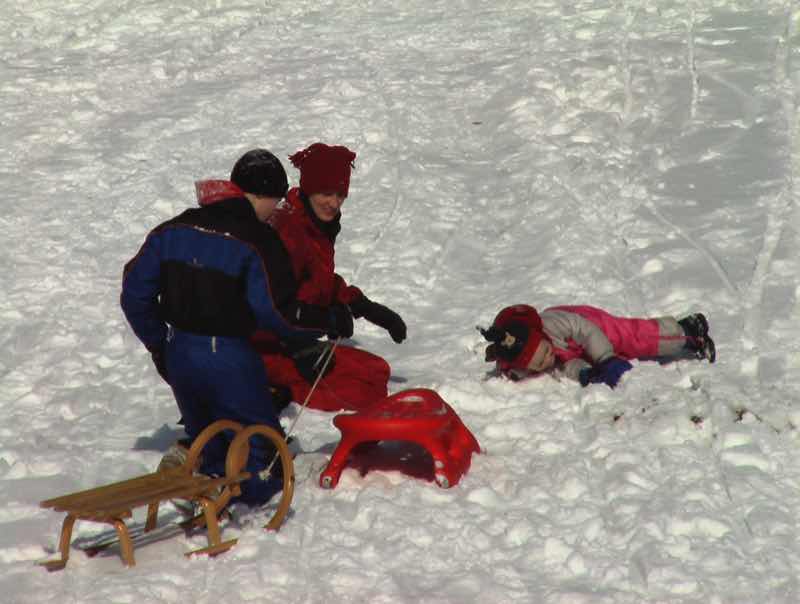 Winterfreuden bei einer Schlittenpartie