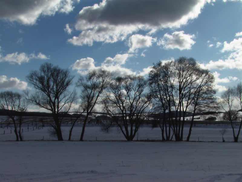 Ölfewiesen im Winter